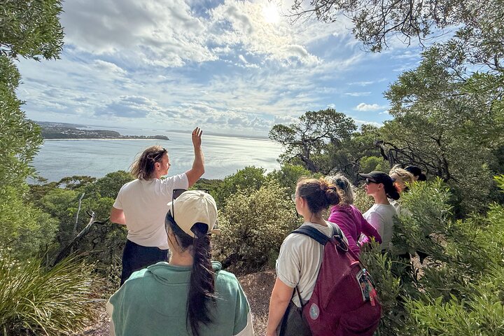 Newcastle to Port Stephens: Whale Watching, Hike & Dunes