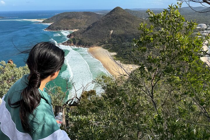 Newcastle to Port Stephens: Whale Watching, Hike & Dunes
