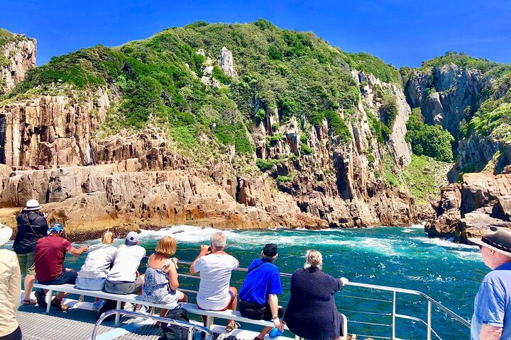 Newcastle to Port Stephens: Whale Watching, Hike & Dunes