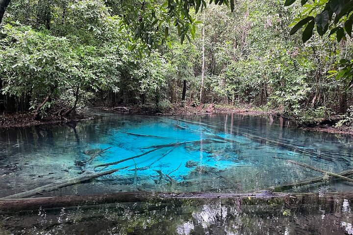 Krabi: Tiger Cave, Emerald Pool, and Hot Springs Small-Group Tour
