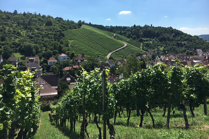 Private Stuttgart City Tour with Licensed Guide and Driver Guide