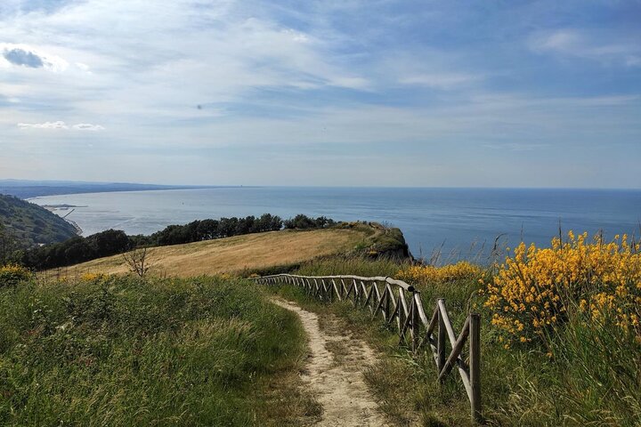 Hike on Mount San Bartolo