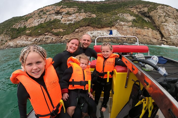 Swim with the Seals in Plettenberg Bay