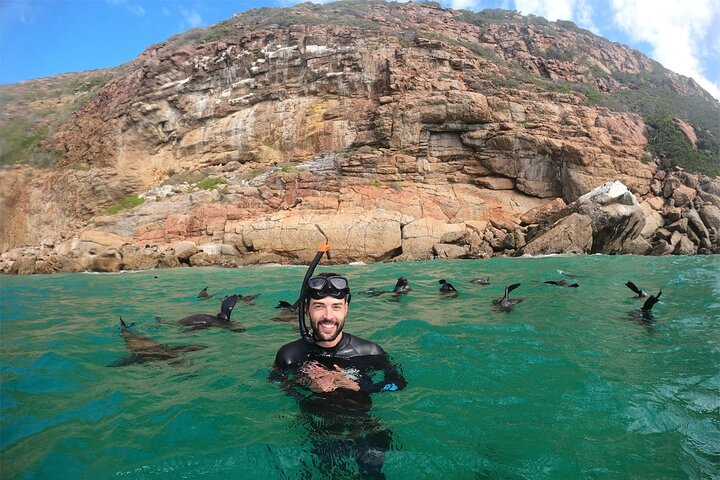 Swim with the Seals in Plettenberg Bay