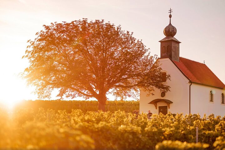Blaufränkisch Wine Tasting Experience in Central Burgenland