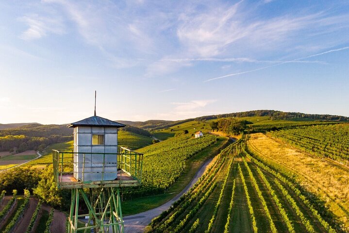 Blaufränkisch Wine Tasting Experience in Central Burgenland