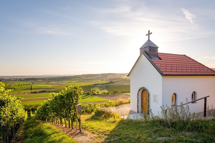 Blaufränkisch Wine Tasting Experience in Central Burgenland