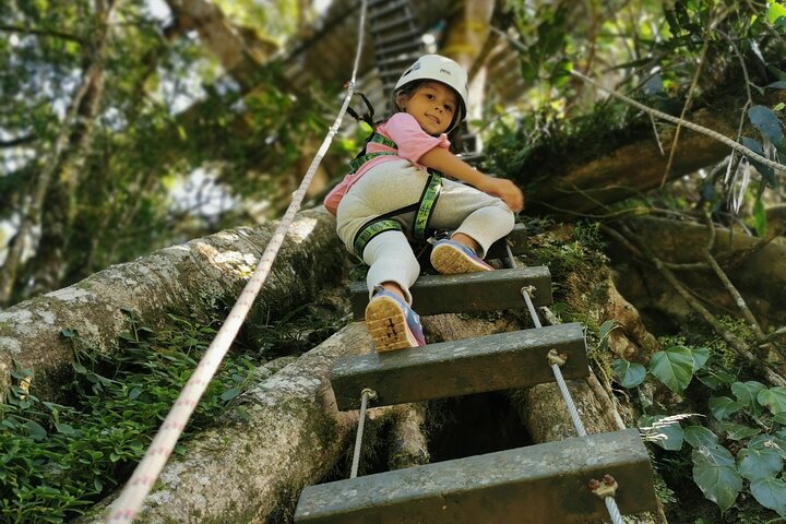 The Original Canopy Tour Monteverde, Zipline