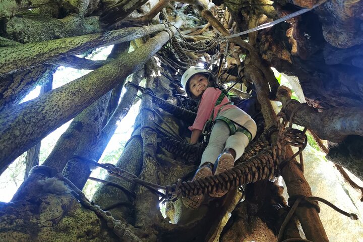 The Original Canopy Tour Monteverde, Zipline