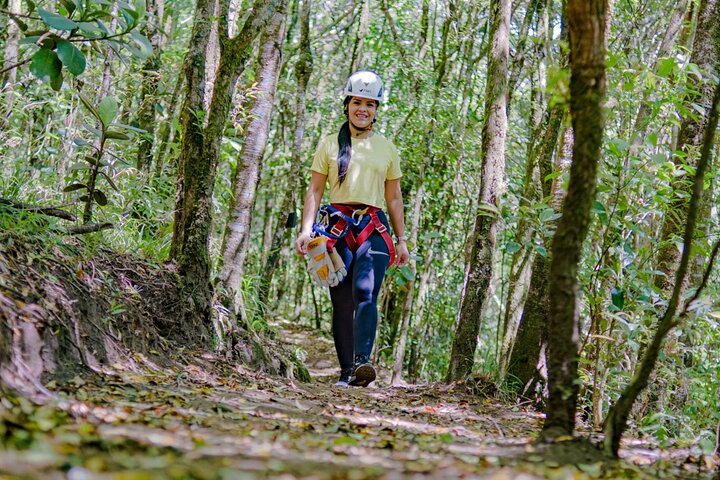 The Original Canopy Tour Monteverde, Zipline