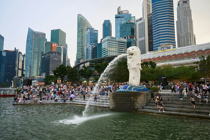 Singapore River Cruise, Night Garden Rhapsody & Spectra by CYT