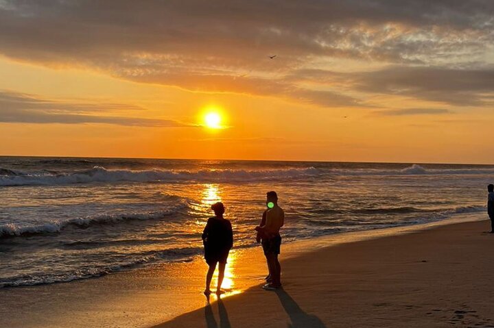 Release of Sea Turtles at Sunset
