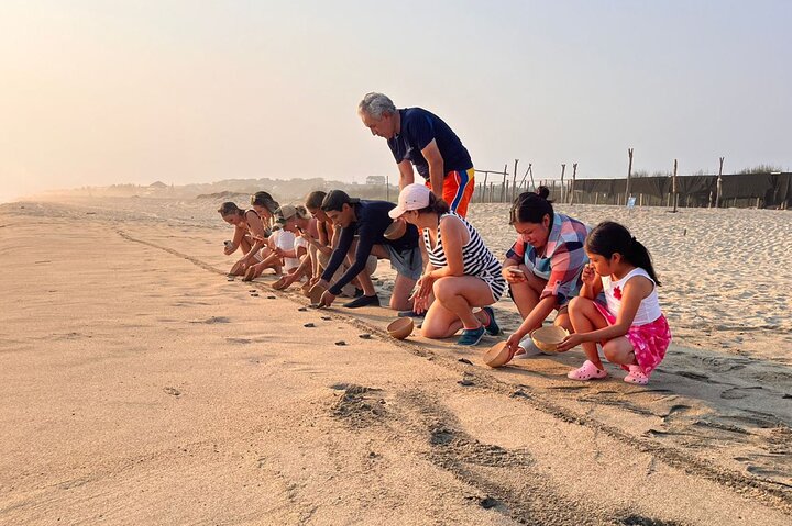 Release of Sea Turtles at Sunset