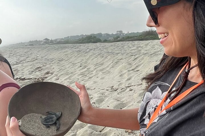 Release of Sea Turtles at Sunset