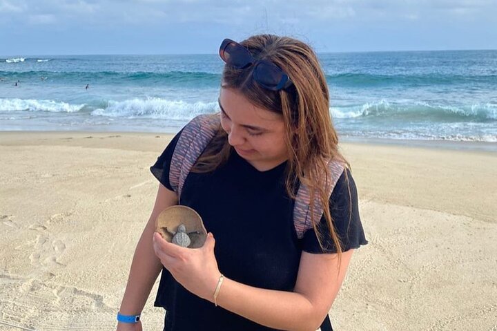 Release of Sea Turtles at Sunset