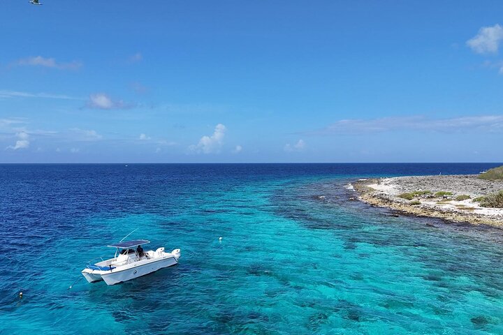 Private Snorkel Tour with Captain & Guide Bonaire Marine Park 4hr