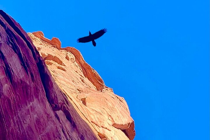 Lake Powell Kayak and Water Antelope Canyon Hike Guided Tour