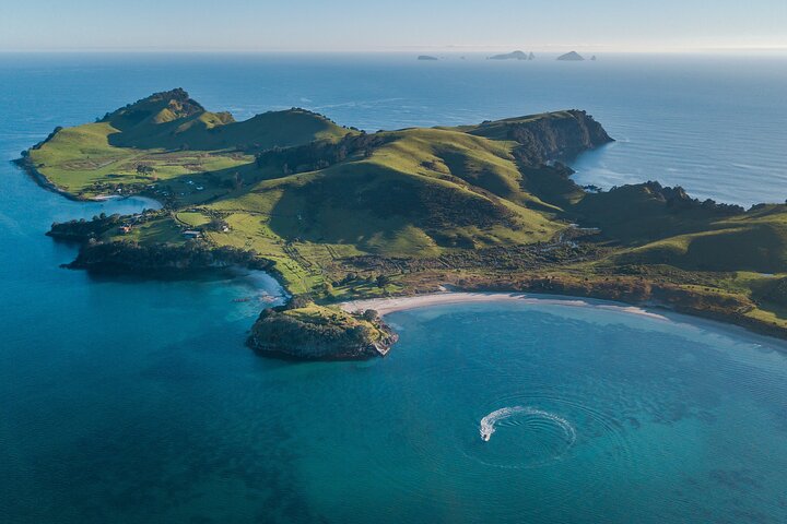 Coromandel Adventure and Wildlife Boat Tour to Aldermen Islands