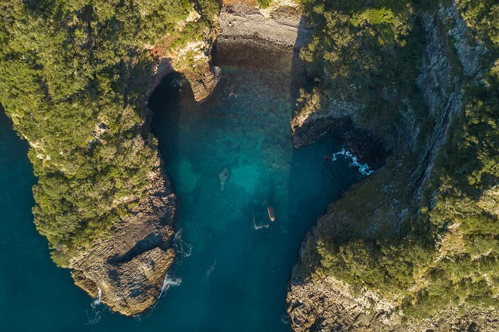 Coromandel Adventure and Wildlife Boat Tour to Aldermen Islands