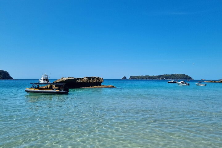 Cathedral Cove 2 Hour Guided Tour Explore Marine Wonders