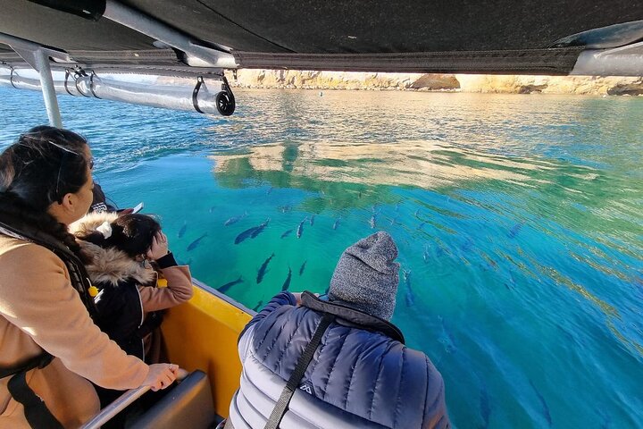 Cathedral Cove 2 Hour Guided Tour Explore Marine Wonders