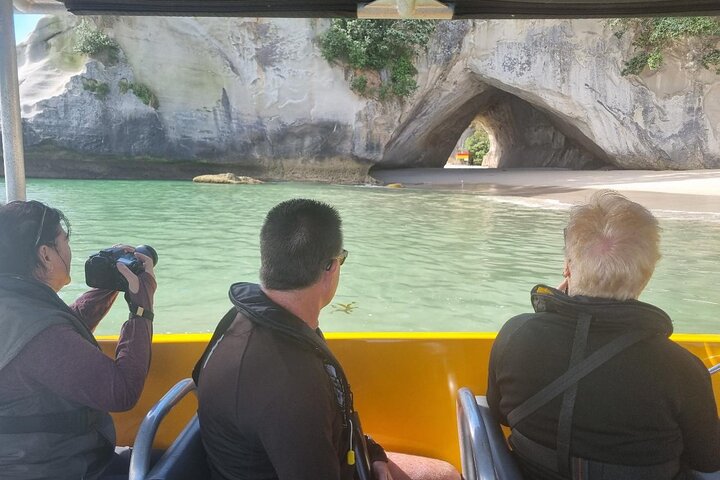 Cathedral Cove 2 Hour Guided Tour Explore Marine Wonders