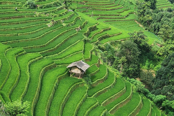 2 Day Mu Cang Chai Motorbike Tour with Homestay Experience