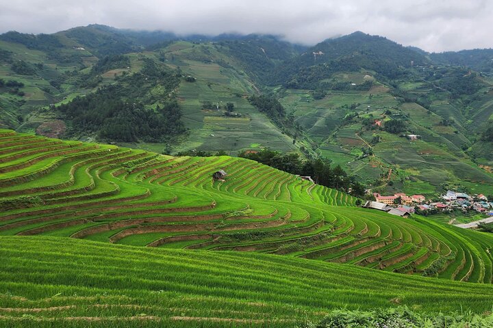 2 Day Mu Cang Chai Motorbike Tour with Homestay Experience