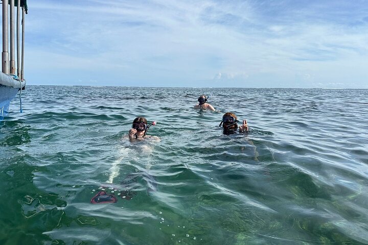 Snorkeling! & Cahuita national park Small Group Tour