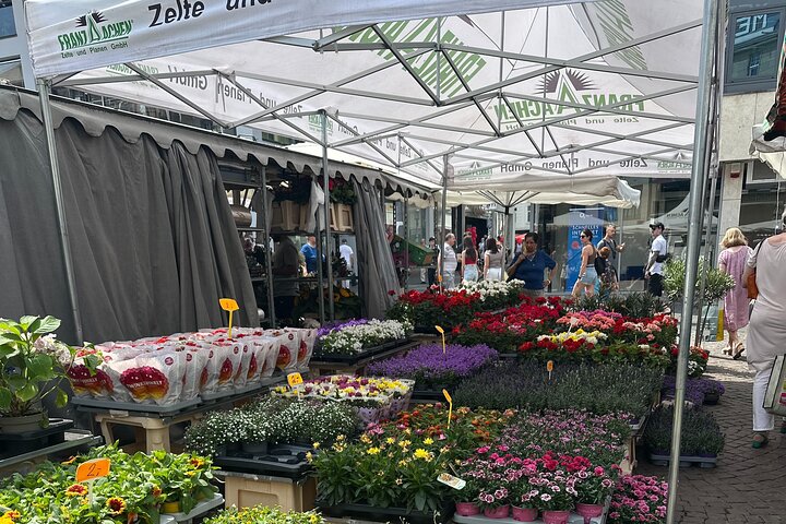Explore Bonn with Beethoven, Lunch and Haribo Walking Tour 2,0hr