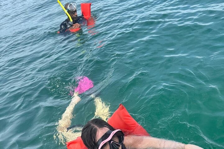 Snorkeling! & Cahuita national park Small Group Tour