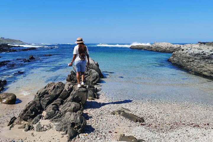 Guided Port Elizabeth Coastal Tour