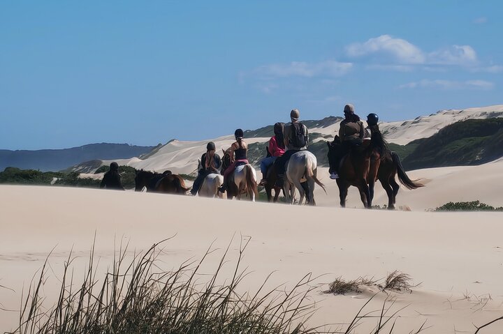 Guided Port Elizabeth Coastal Tour
