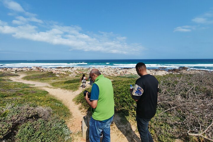 Guided Port Elizabeth Coastal Tour