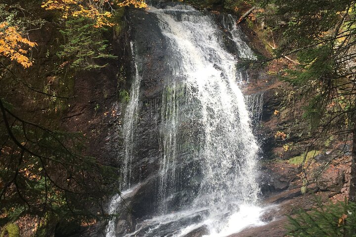 Go Fundy Tours