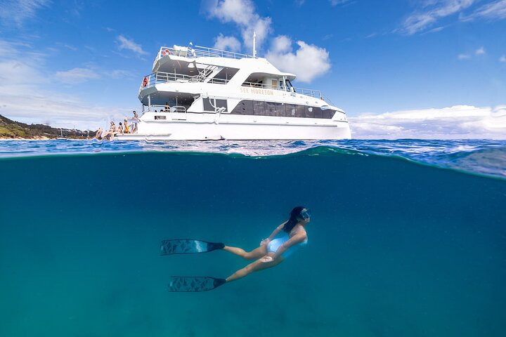 Moreton Island & Tangalooma Wrecks Snorkel Cruise - Brisbane
