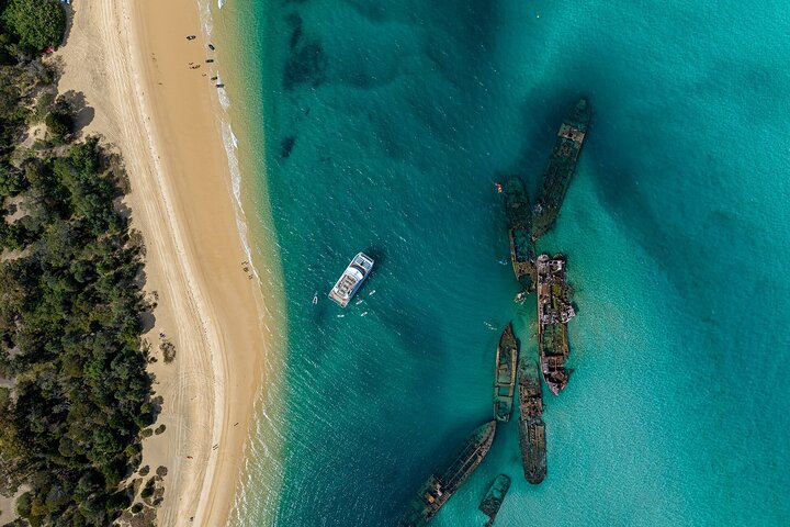 Moreton Island & Tangalooma Wrecks Snorkel Cruise - Brisbane