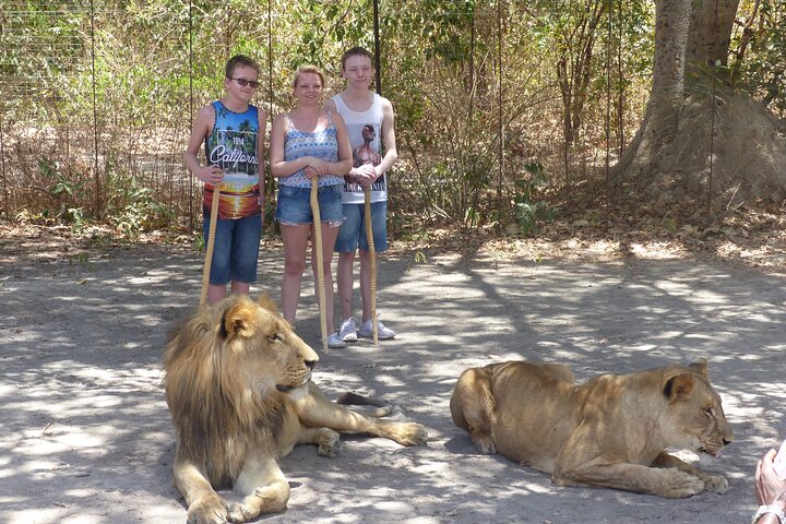 Full-Day Safari in Senegal from Banjul