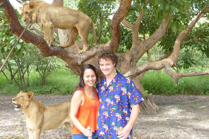 Full-Day Safari in Senegal from Banjul