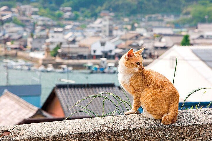 Onomichi and Tomonoura 1 Day Private Tour