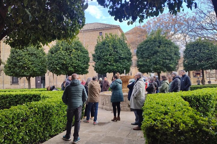 Visit Úbeda monumental and palatial