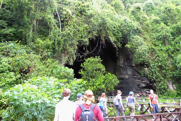 Sandakan: Gomantong Cave Echoes and Kinabatangan Cruise