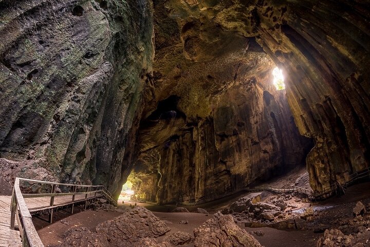 Sandakan: Gomantong Cave Echoes and Kinabatangan Cruise