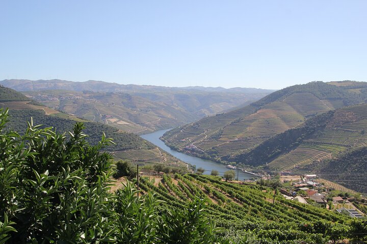 Lisbon to Douro Valley One Way Trip Up to 4 Stops