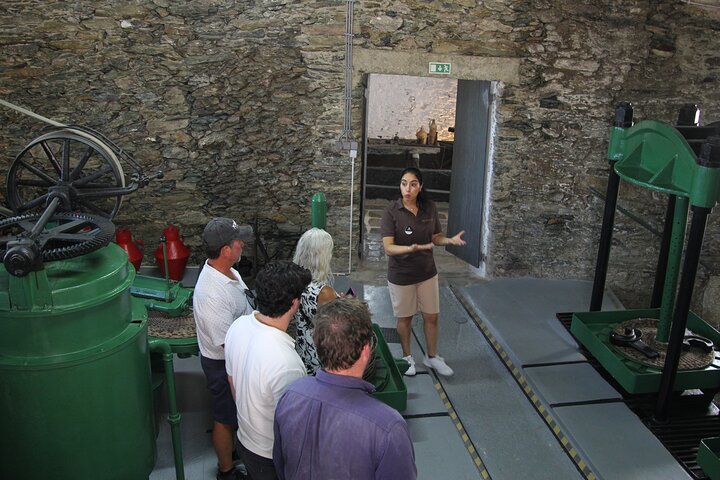 Lisbon to Douro Valley One Way Trip Up to 4 Stops