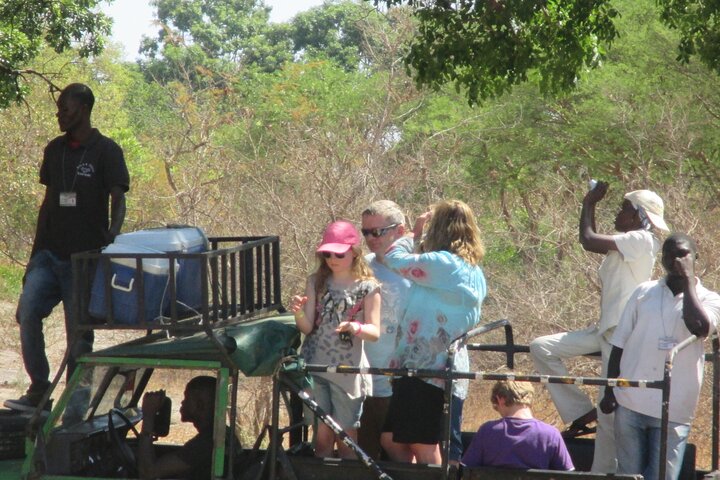 Full-Day Safari in Senegal from Banjul