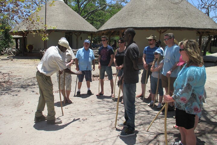 Full-Day Safari in Senegal from Banjul