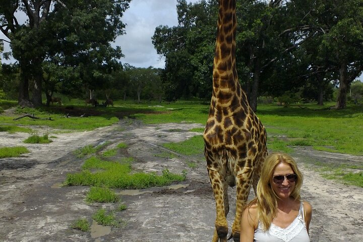 Full-Day Safari in Senegal from Banjul