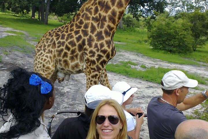 Full-Day Safari in Senegal from Banjul