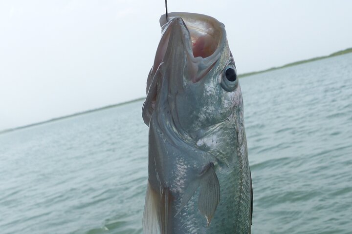 River cruise Fishing in the Gambia Lunch Included